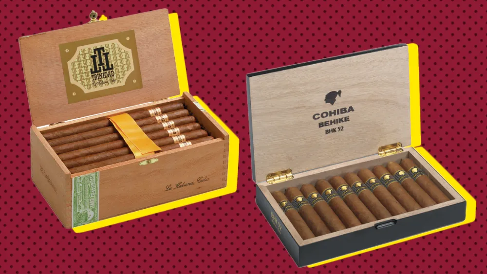 the Unparalleled Excellence of Cuban Cigars so Special – A Journey into the Art and Craftsmanship of the World’s Finest Tobacco good